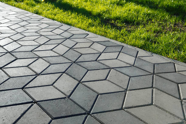 Best Interlocking Driveway Pavers  in Todd Creek, CO
